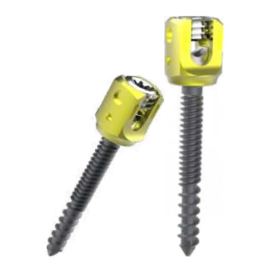 polyaxial spine screw smart
